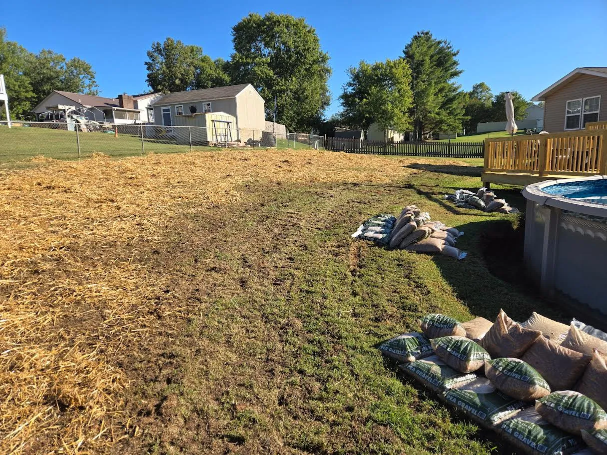Thin, patchy grass and bare soil in an East Tennessee yard before lawn restoration