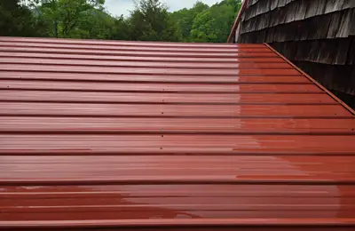 Pressure Washing