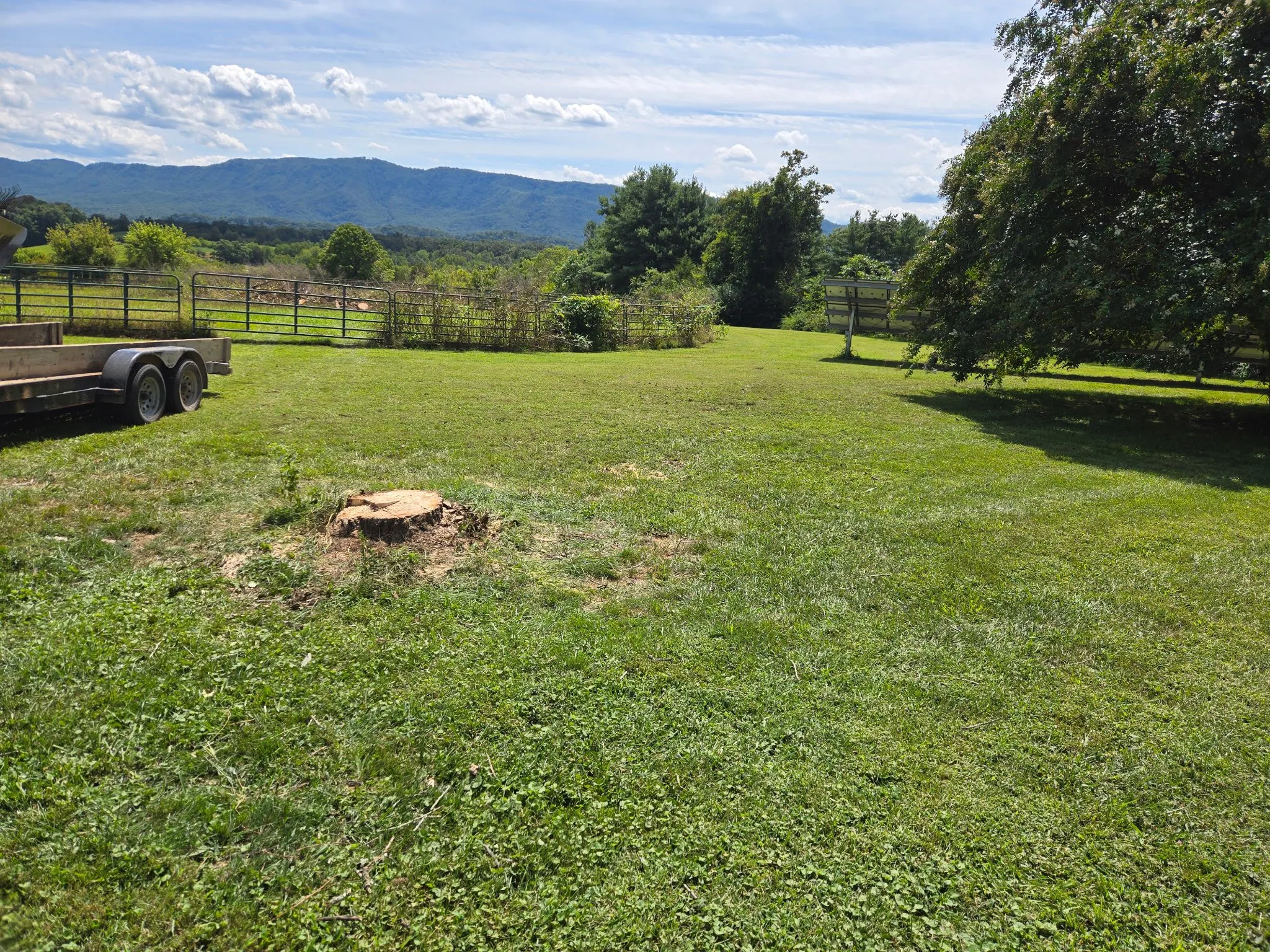 Mowed and maintained yard on an East Tennessee property